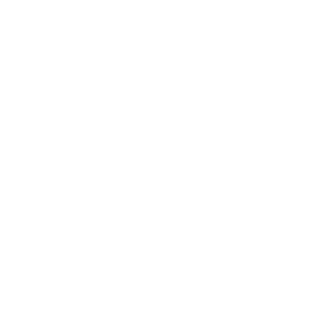 lion lion